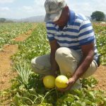 Inversionistas en búsqueda de oportunidades de negocios en el sector agrícola del Valle